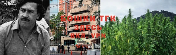 Альфа ПВП Балабаново