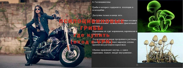 прущая мука Баксан