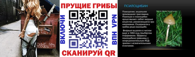 где продают   Кунгур  KRAKEN рабочий сайт  Псилоцибиновые грибы прущие грибы 
