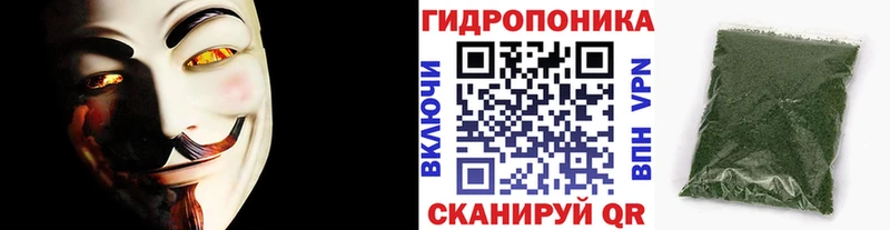 Бошки марихуана THC 21%  магазин продажи наркотиков  Кунгур 